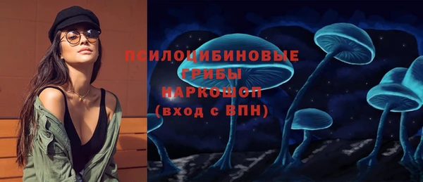 тгк Вяземский