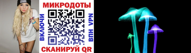 Псилоцибиновые грибы мицелий  Купить где  Рудня 