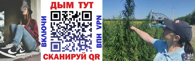 Бошки Шишки ГИДРОПОН  Купить  Рудня 